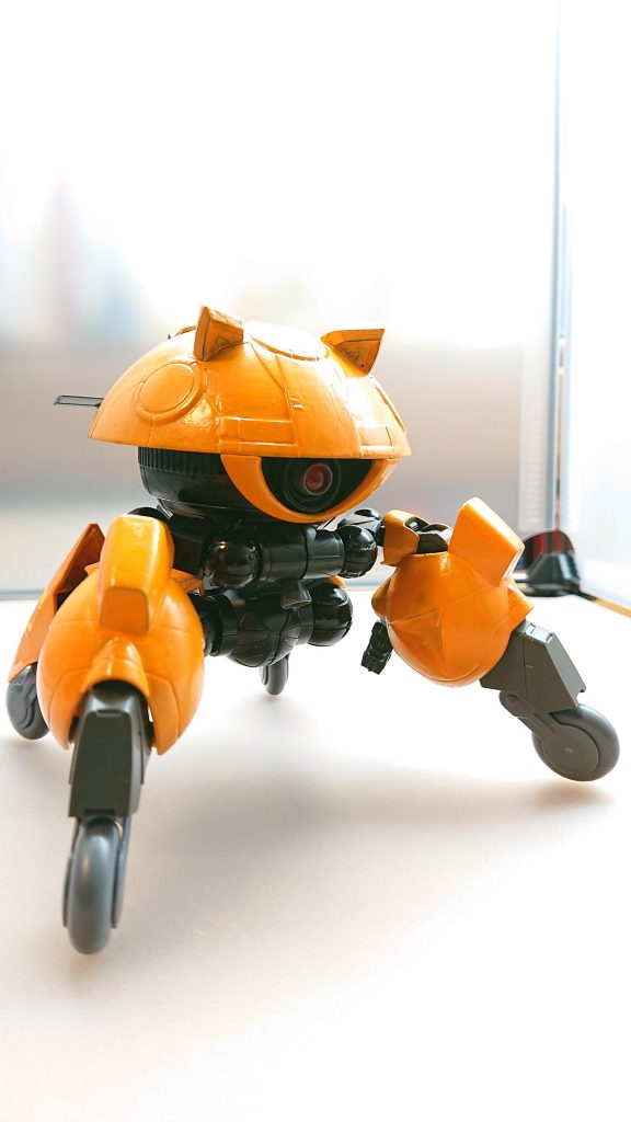 ヘルメットを取ると猫耳が付いており猫型ペットロボットっぽい？