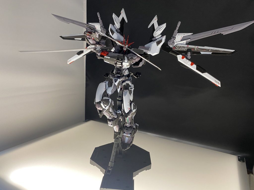 素体状態だと少し脚が短いかとも思いましたが、組んでみると筋肉質でガッシリした体型で、これはこれでアリかなと思います。