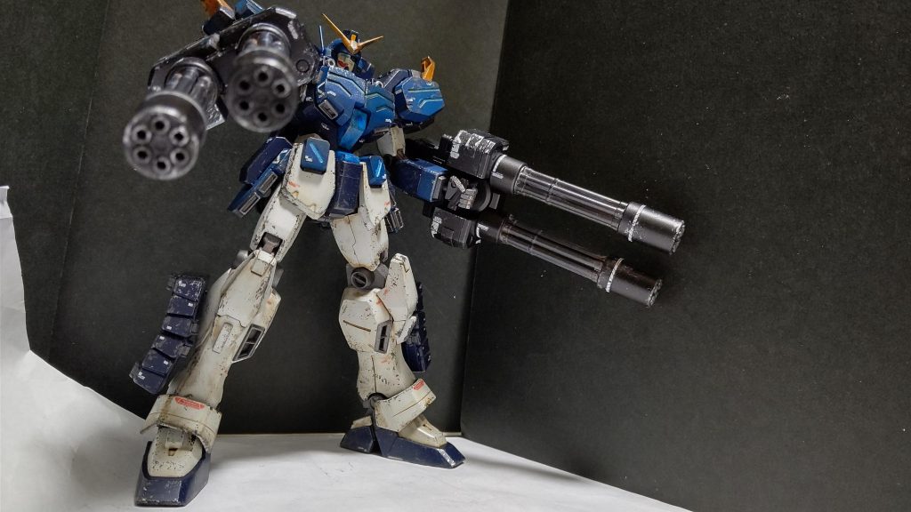 下の角度から撮ってみました( ˙꒳​˙ )