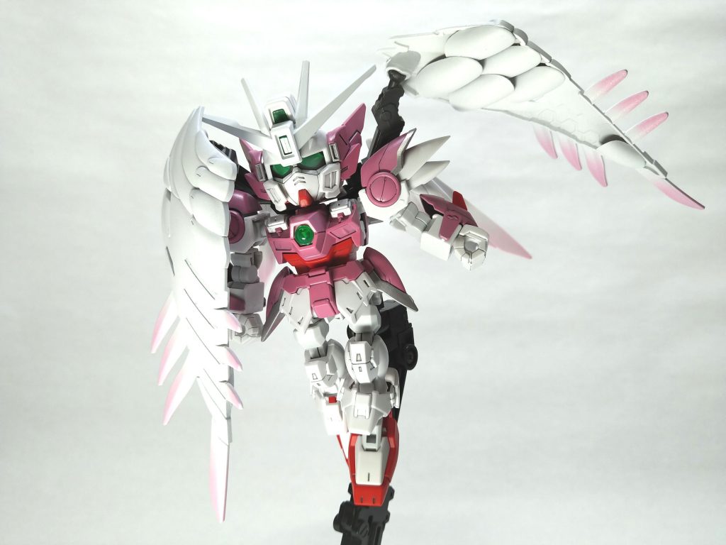 翼を左右非対称に開いたポーズ