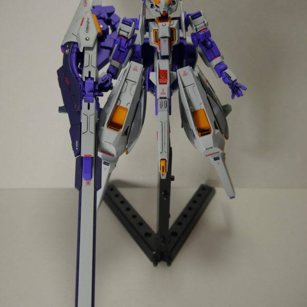 TR-6　ウーンドウォート