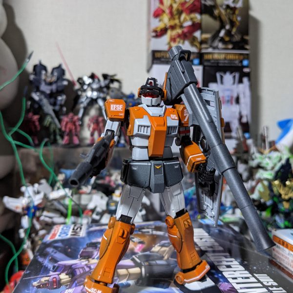 HGジムインターセプトカスタム