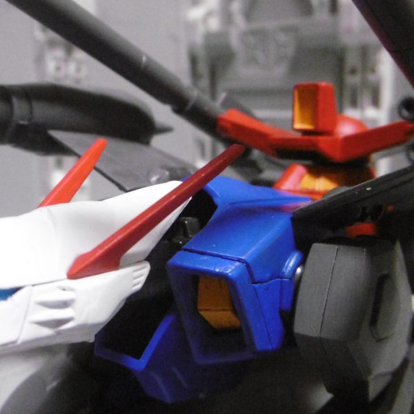 ニセがんたんく