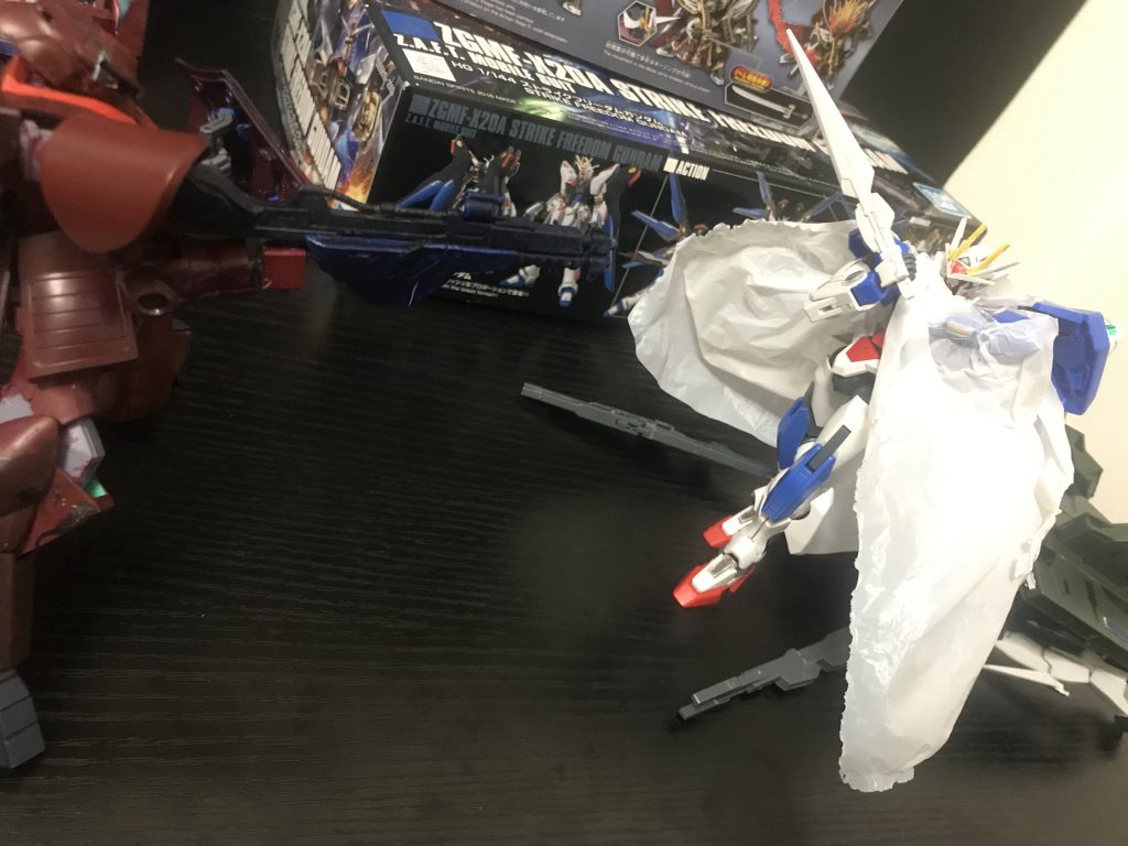 ディジェ「怖…来るな！」ダブルオー「大丈夫だよぉ？」ダブルオー「た、ぶ、ん？」ディジェ「うぅ…」