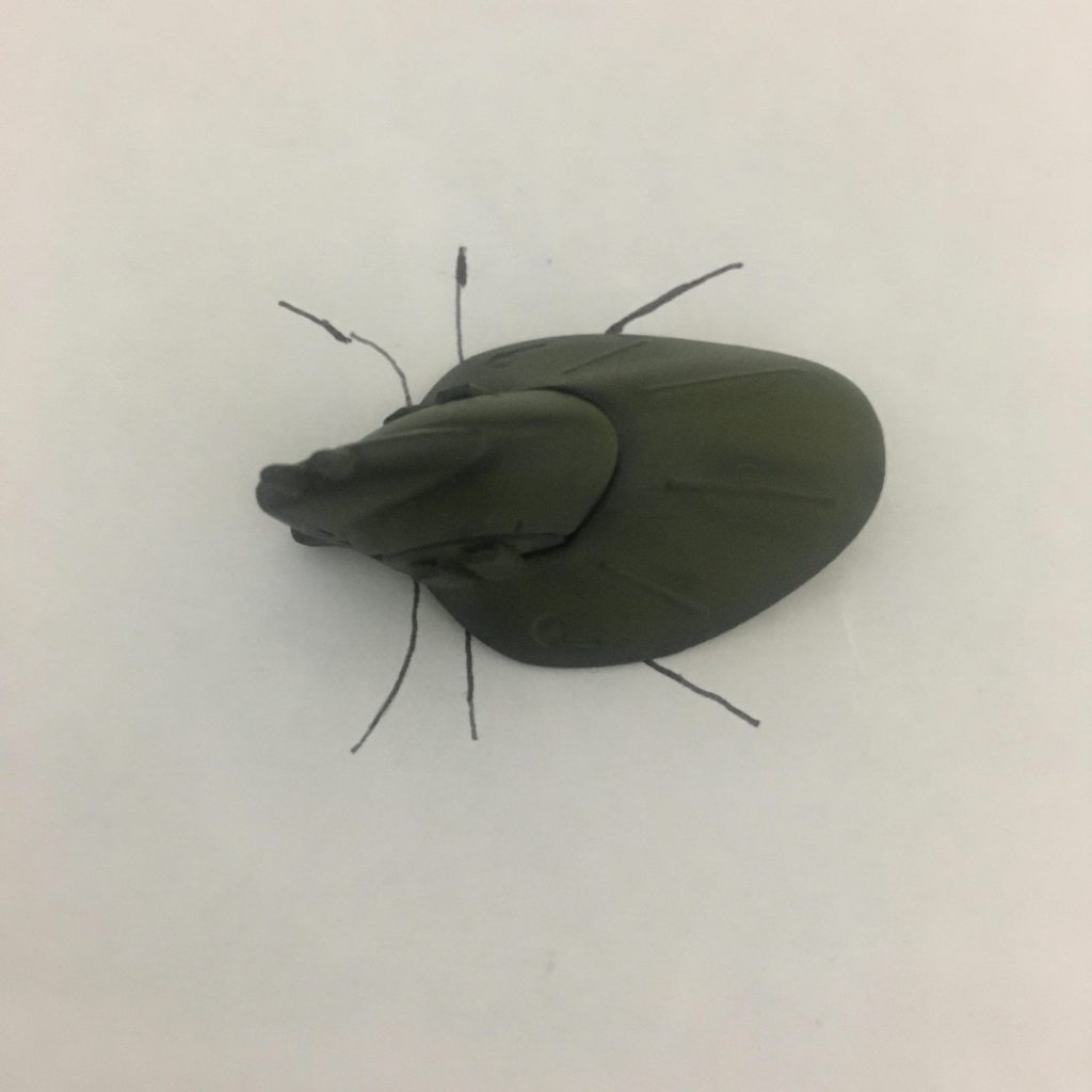 【追伸】頭部が虫っぽいなーと思い、試しに足を描いてみたら予想以上にキモいぞー‥