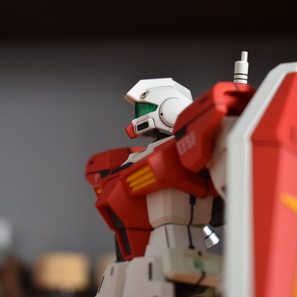 HGBF GM/GM