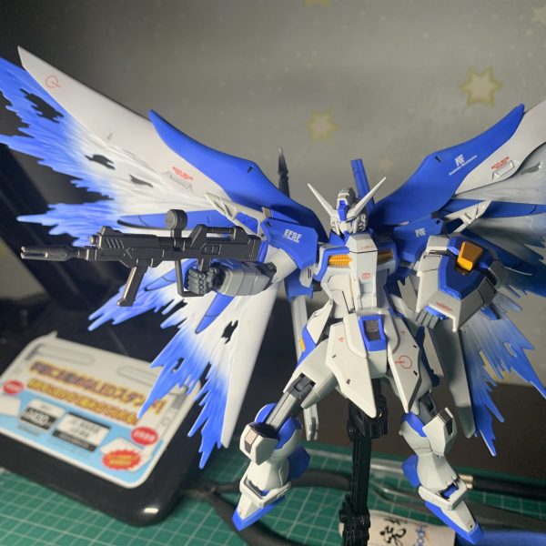 ハイデスティニー