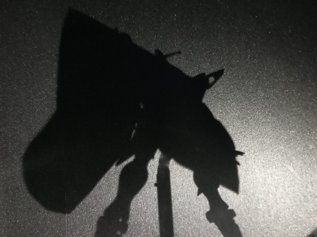 この機体武装はありません、ですが技はあります。影打ち、影に隠れ