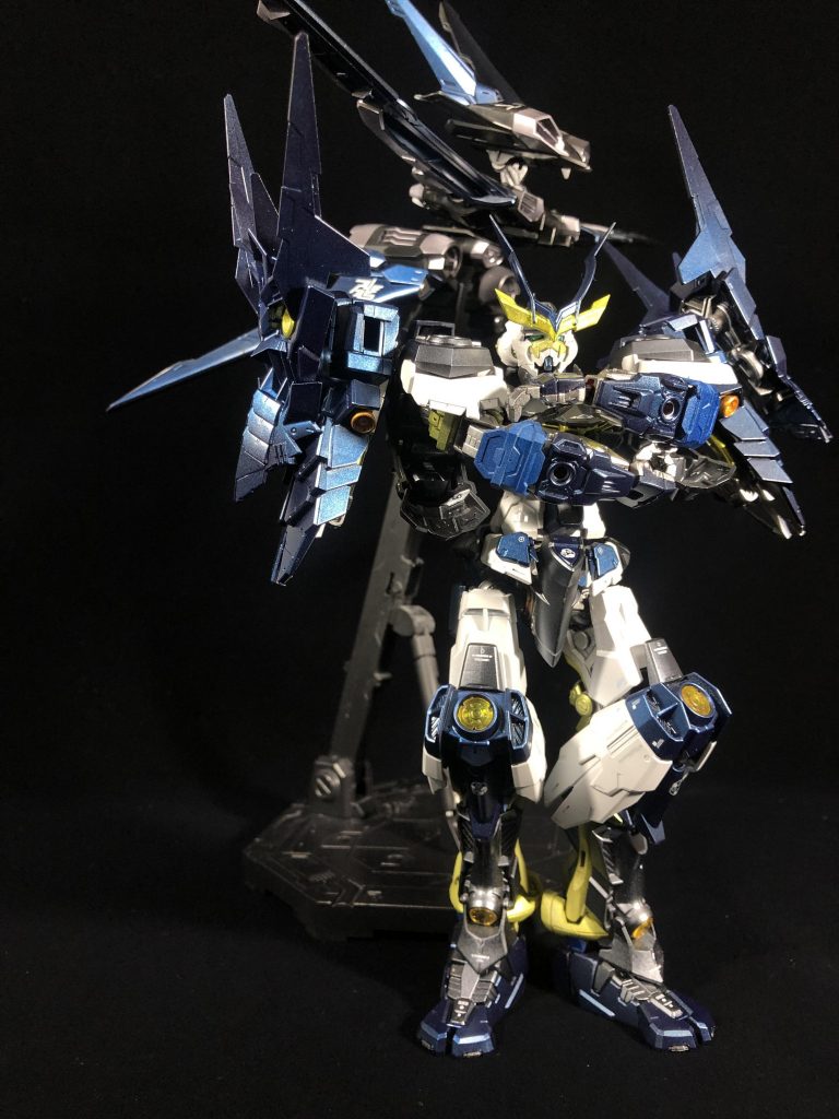 フライトユニット&戦国アストレイ