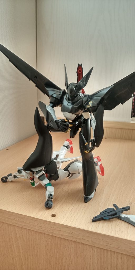 ア「痛い痛い痛い!」グ「ハッハッハッ!!!!!!www」