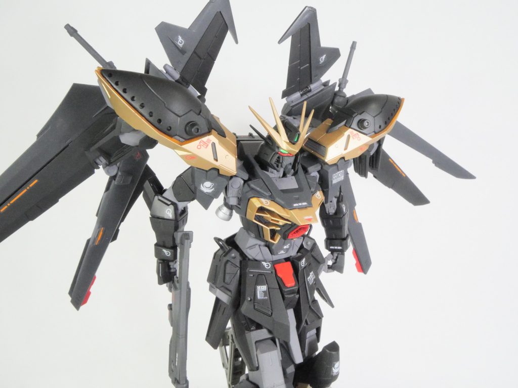 カラミティ　ノワール–5枚目/制作者：ブルーステラ