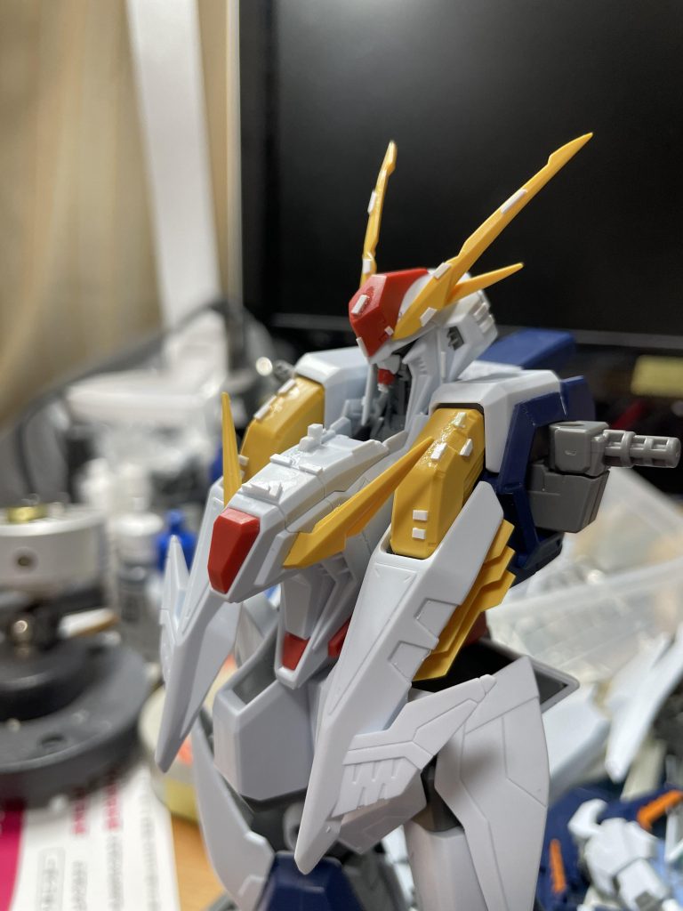 頭部、胸部アップです。