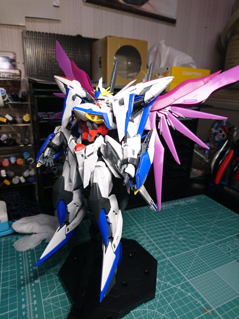 唯一持ってるシルエットで、デスティニーシルエット