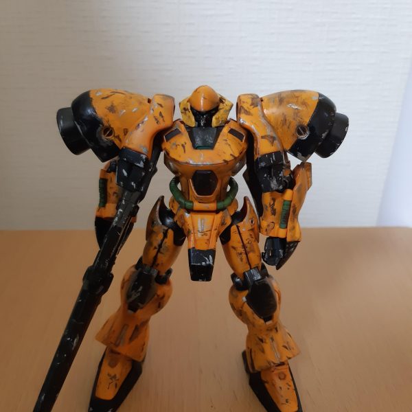 ガーベラ・テトラ