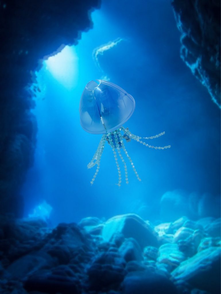 以上、ウーンドウォート マリンジェリーでした。見てくれた皆様ありがとうございます!