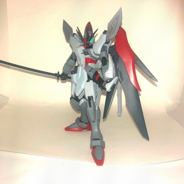 ガンダムデスティニー黒龍丸・絶