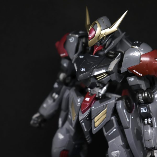 バルバトスルプスシニス