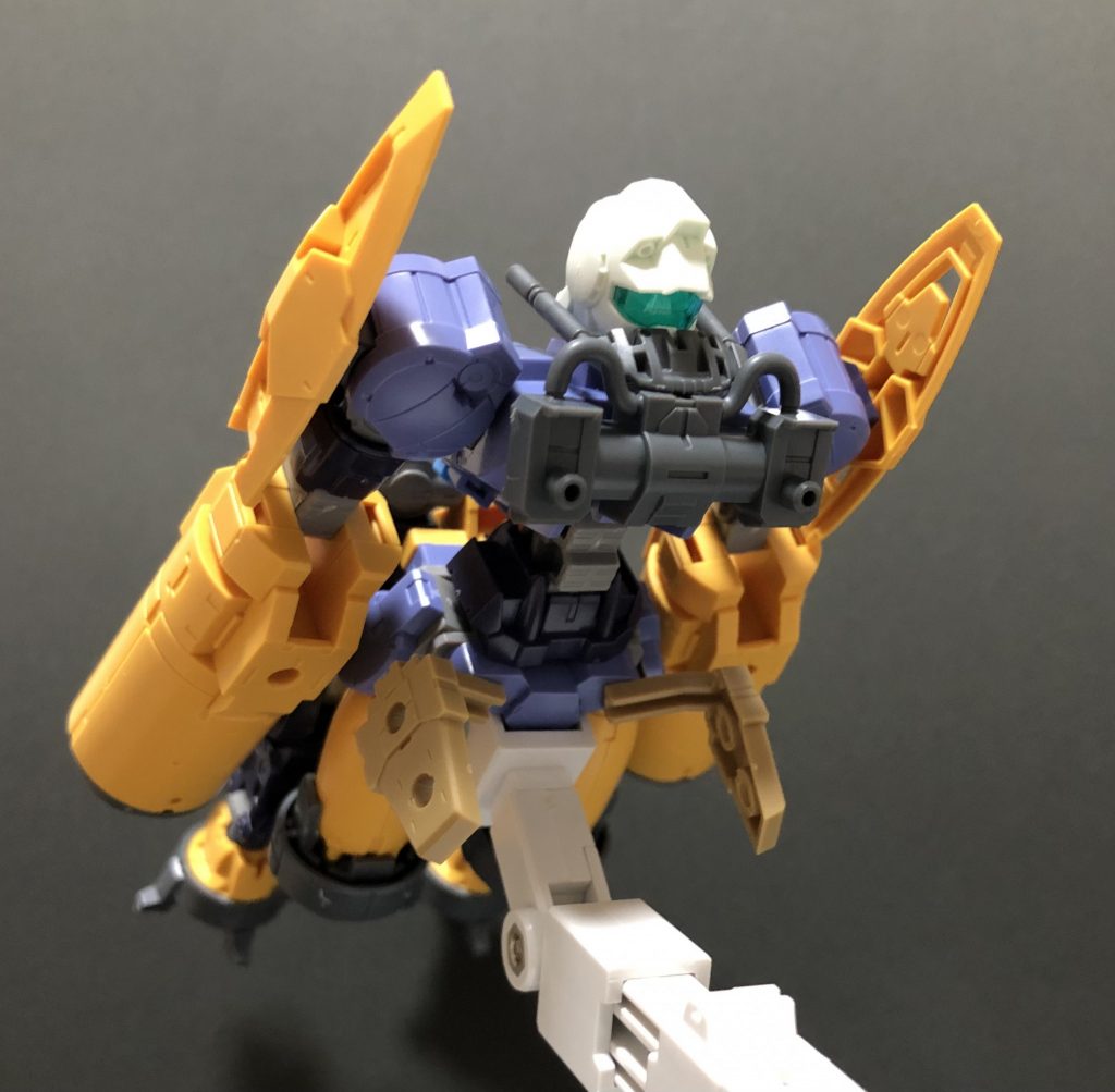 この特徴的な頭部は、もしやアクアジム？！