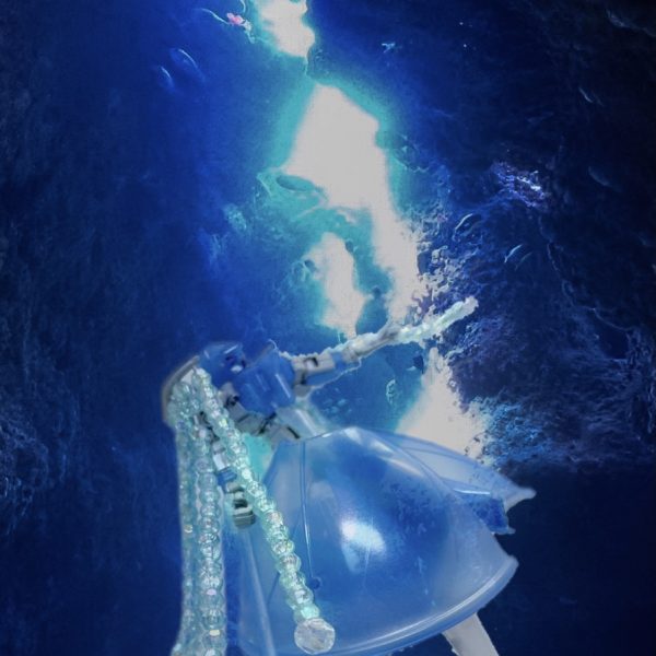 ウーンドウォート　マリンジェリー