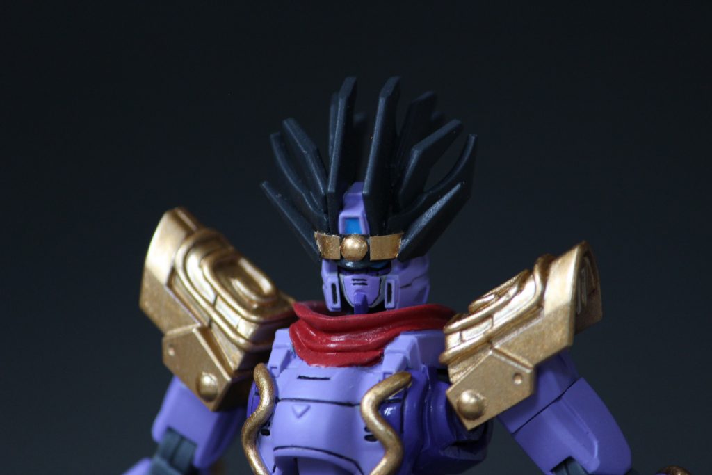 頭部のアップです。目がかなり暗くて見えにくいです。ごめんなさい。