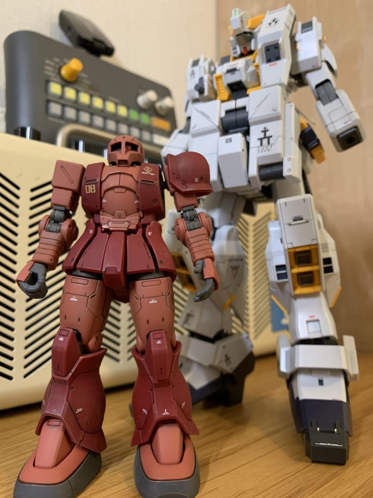 身長が倍くらい違う…