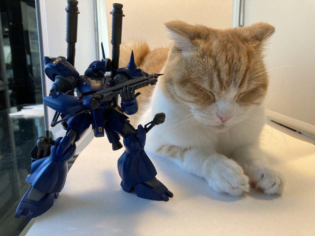 おまけ撮影しようとした時にウチのねこ様が乱入し、くつろぎ始めるという事態に笑大人しくなったところをせっかくなのでツーショット♥️この巨大モビルアーマーねこ、ビームサーベルをガジガジするんですよ…過去にいくつかやられてます…恐ろしや((((；ﾟДﾟ))))ということで今回はここまでです😊最後まで見て下さりありがとうございました‼️m(_ _)mそれではまた( ´ ▽ ` )ﾉ