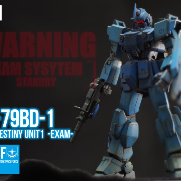 ブルーディスティニー1号機 EXAM　2機目