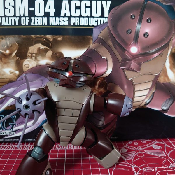 『初投稿』アッガイ、可愛すぎた