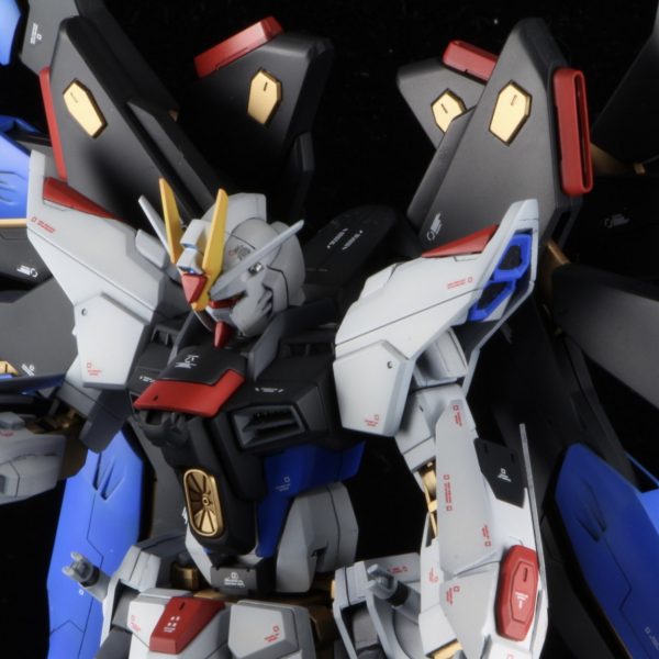 HG ストライクフリーダムガンダム