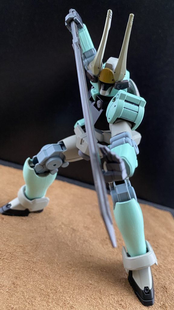 　先生は、拳の達人であると同時に、剣の達人でもあるのだ。