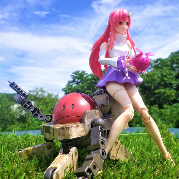 ラクス・クライン譲降臨‼たくさんの閲覧ありがとうございます。折角なので晴天時に外ロケで撮影したものに差し替えましたので宜しくお願い致します。