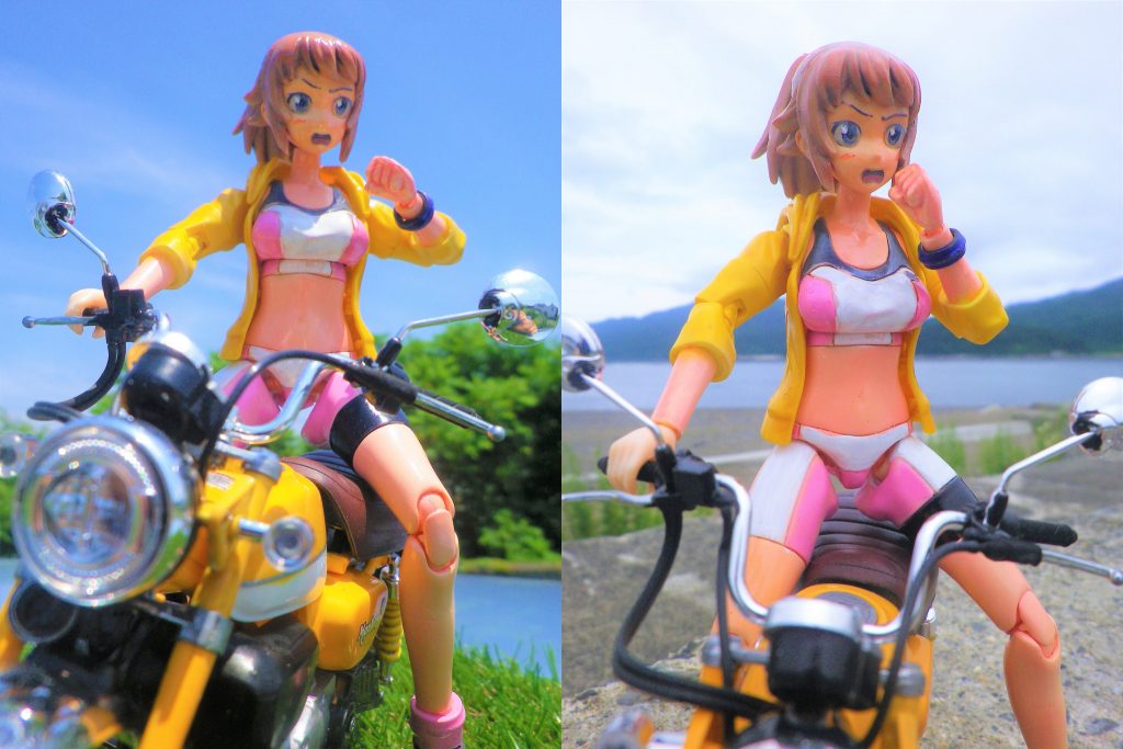 晴天と曇り空との写真写りの違いを楽しんで貰えたら幸いです。