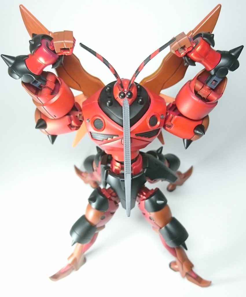 マッスルポージング