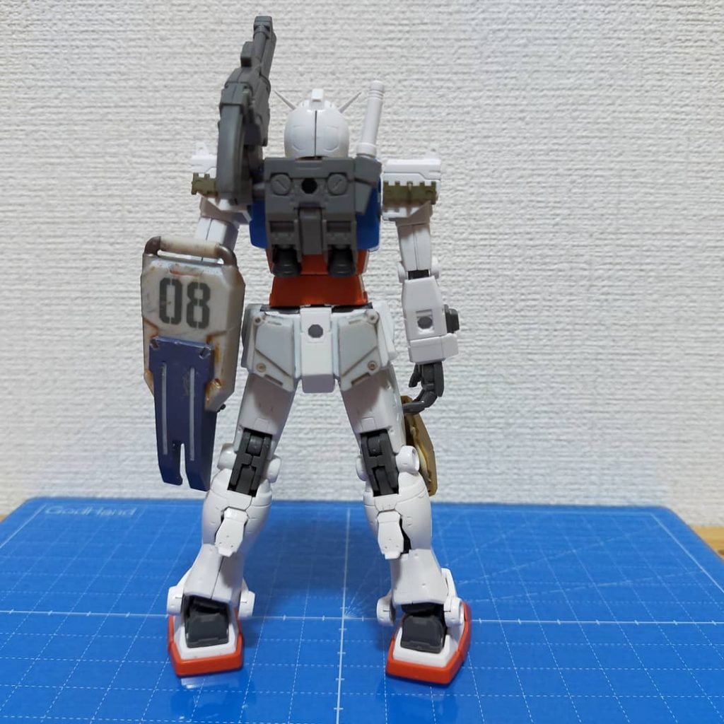 見えてませんがオシリも陸ガンです。