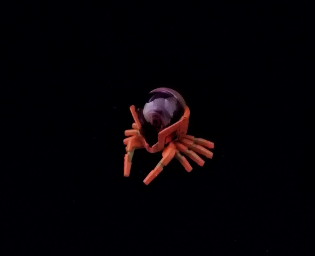 小さな個体が操作していたようです。