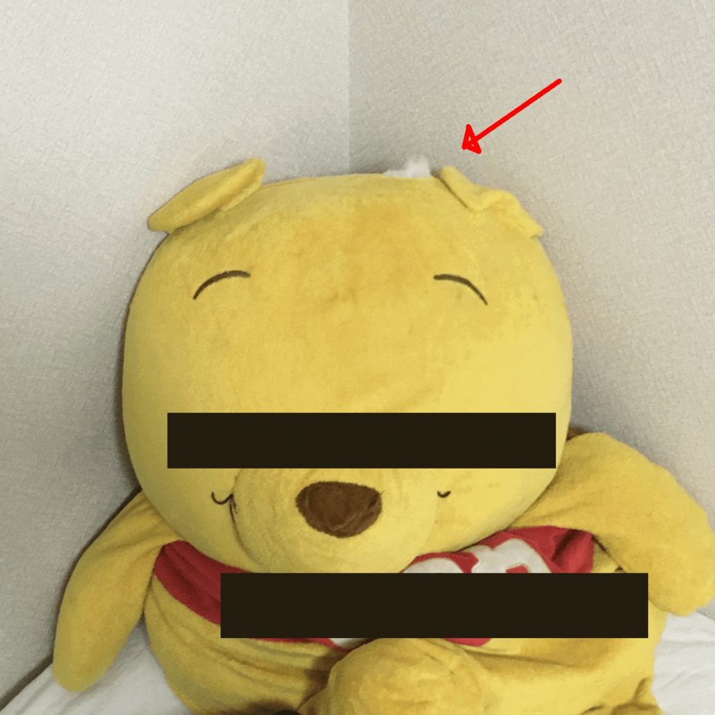 顔のインテークから出てる排気の煙みたのは、家にあったぬいぐるみの頭の綿を拝借(ナイショね)