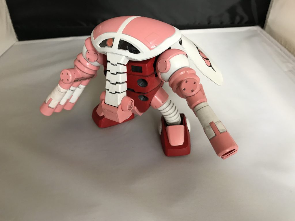 これもよく出来たキットですよね．バンダイのスタッフのジュアッグ愛が伝わってきます．