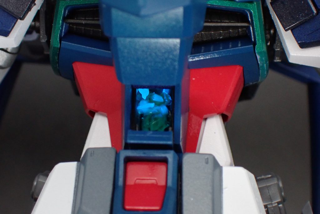 同化している。