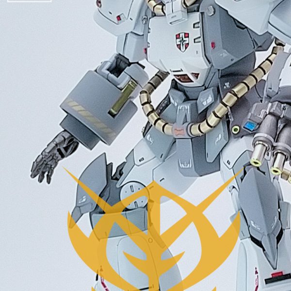 HG　グフプロトタイプ　戦術実証機