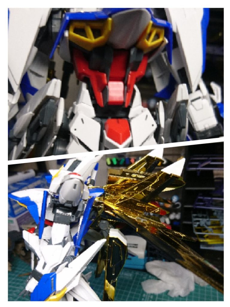 大鷲も重い⁉️