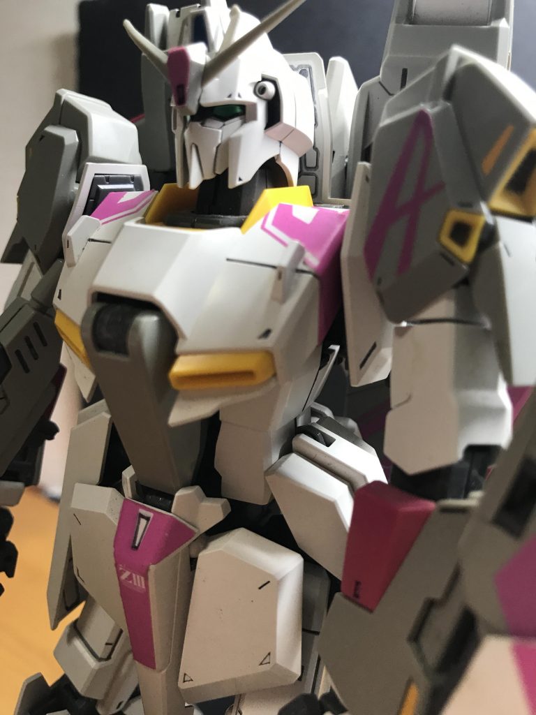 とりあえずかっこよく(？)ポーズ