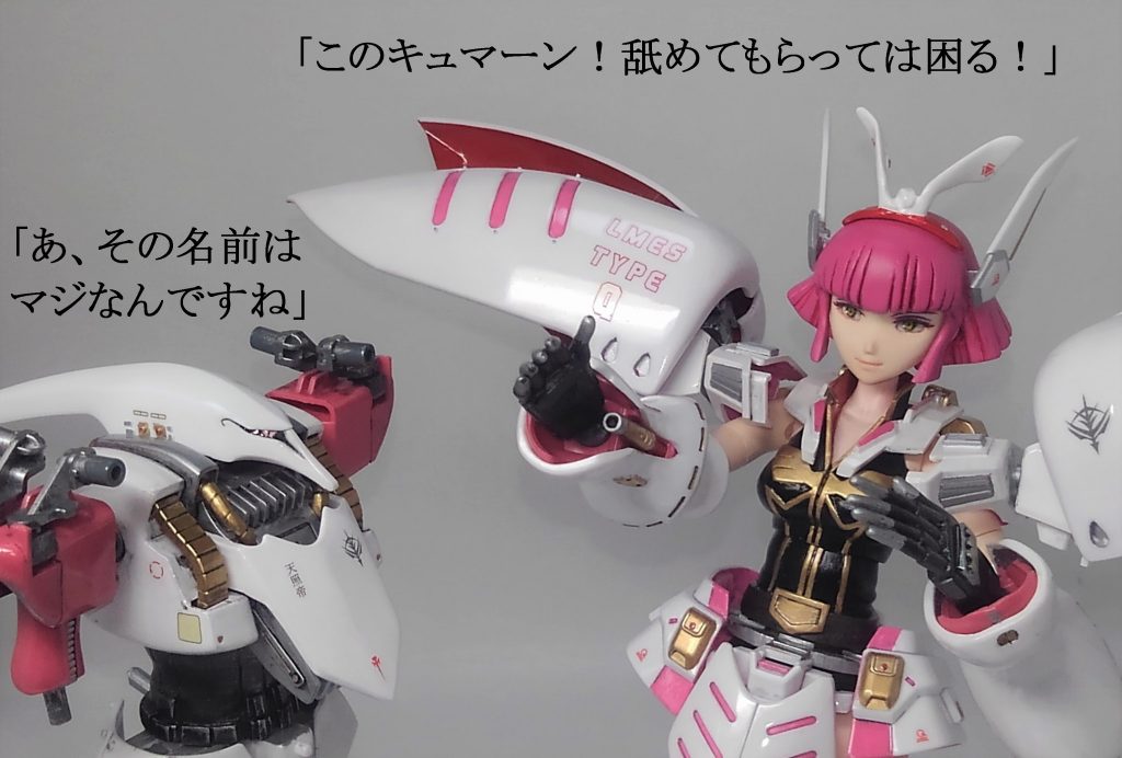 ハマーン & キュベレイ–8枚目/制作者:TOMSIM