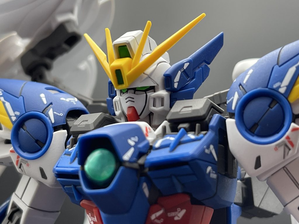 頭部アップです。いやぁーイケメンですね!