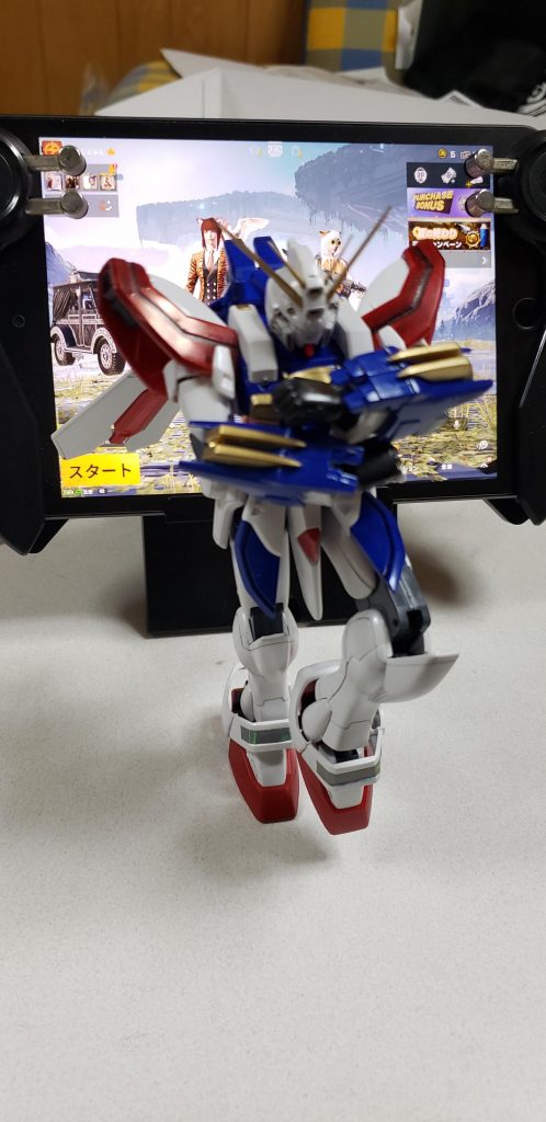 片足立ちとか余裕でできるけど、それだけにスタイルが悪い・・・ださいです( ˙꒳​˙  )ﾌｧ