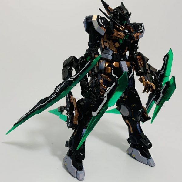 PG 1/60 GNY-001F Gundam Astraea TYPE-F Garage Kit - Custom