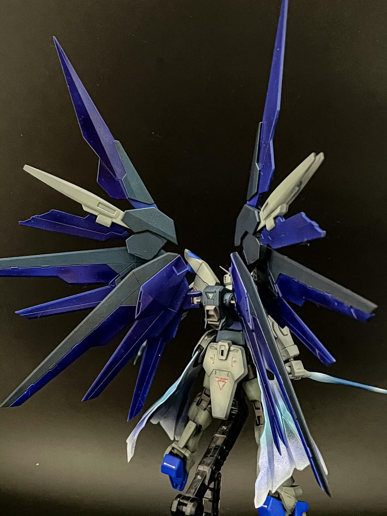 最後に羽を広げた状態でのバックショット。見てくださってありがとうございました!!