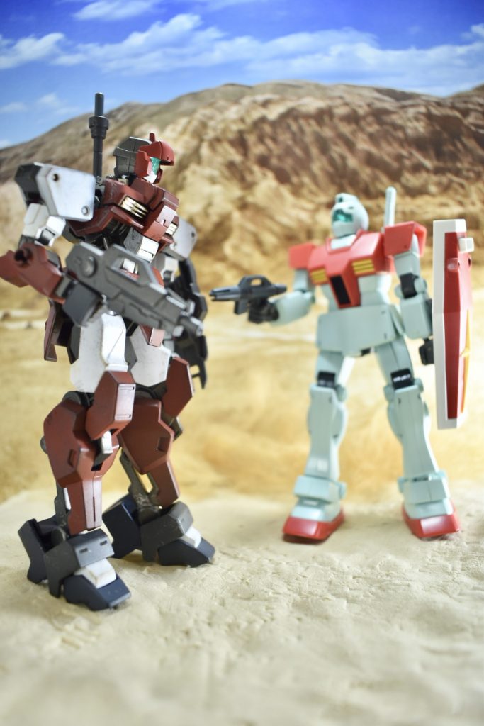 なぜか迷い込んできたジムと遭遇