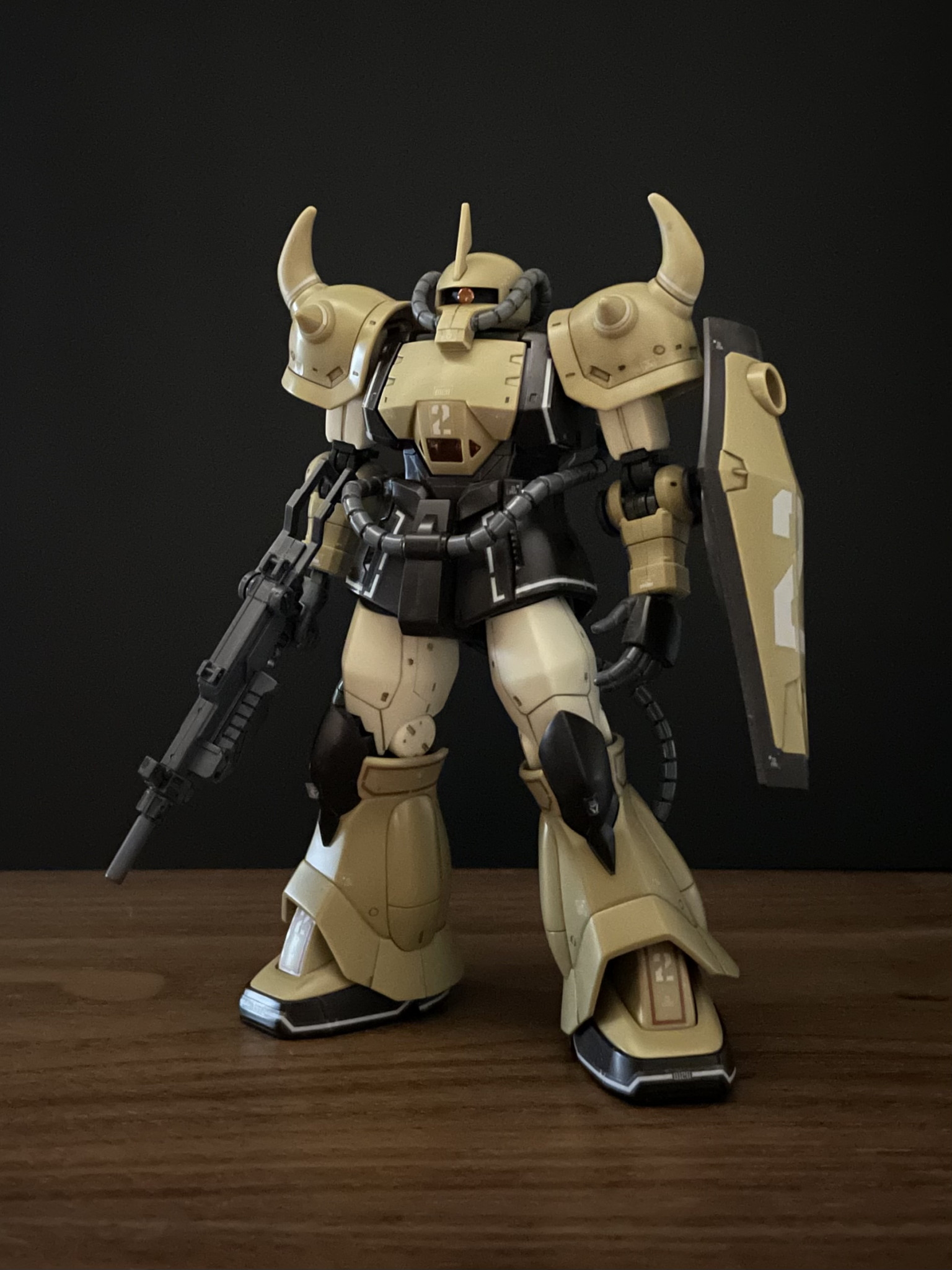 HG プロトタイプグフ（サンドカラー）｜hos_plamoさんのガンプラ作品 