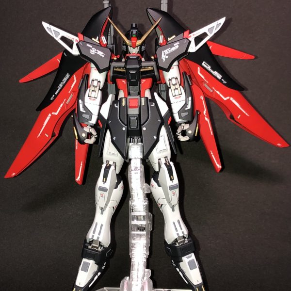 HGCEデスティニー