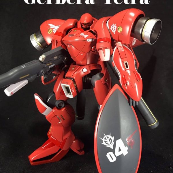 ガーベラテトラ